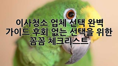 이사청소 업체 선택 완벽 가이드: 후회 없는 선택을 위한 꼼꼼 체크리스트!