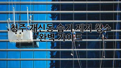 청주 개신동 습기 제거 청소 완벽 가이드